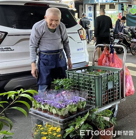 ▲萬華南機場夜市賣盆栽老爺爺 。（圖／記者楊惠琪攝）