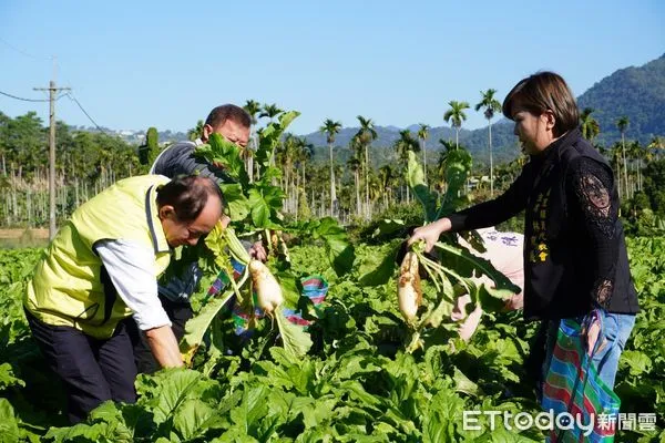 ▲埔里鎮公所26日將在中台武術館對面私人農田舉辦千人拔蘿蔔活動。（圖／埔里鎮公所提供，下同）