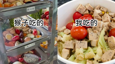 動物園給猴子配餐！讓他一見輕食便當「跟猴飯一樣」　網笑：猴子吃的更豐盛