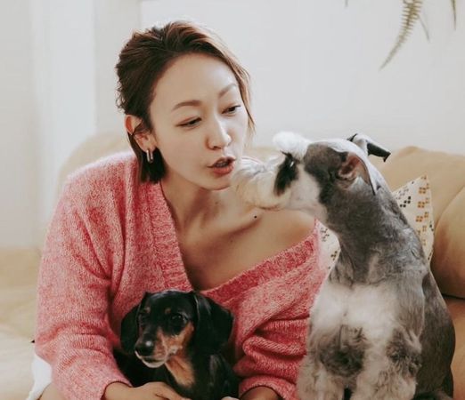 潘慧如為愛犬換大屋。（翻攝自潘慧如IG）