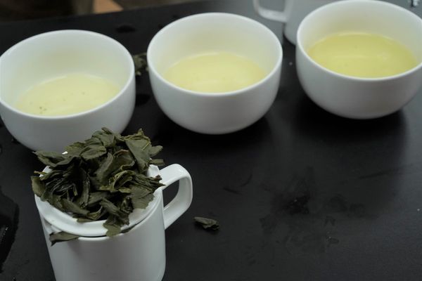 ▲坪林茶農奪第4座包種茶特等獎。（圖／新北市農業局提供）