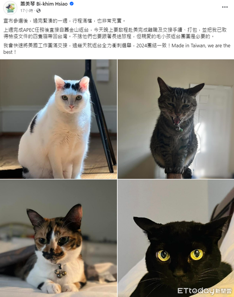 蕭美琴擬帶4隻愛貓返台　防檢署曝檢疫流程：隔離7天才可團圓 | ETto