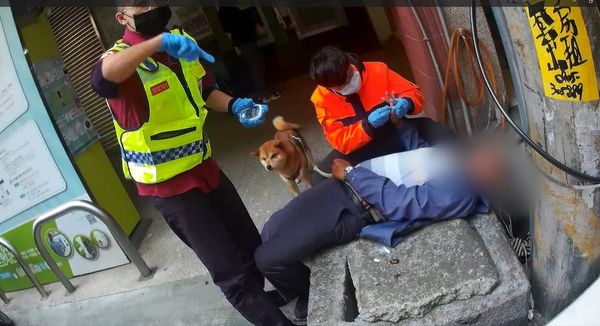 ▲▼老翁昏倒忠犬護主  警救護代照顧愛犬。（圖／南投警察局埔里分局提供）