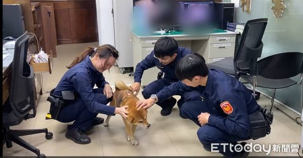 ▲賴姓老翁在街上昏倒送醫、愛犬守護在側不離，警方熱心代為照顧忠犬。（圖／記者高堂堯翻攝）