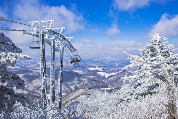▲▼韓國龍平度假村，韓國滑雪，韓國雪景。（圖／韓國觀光公社提供）