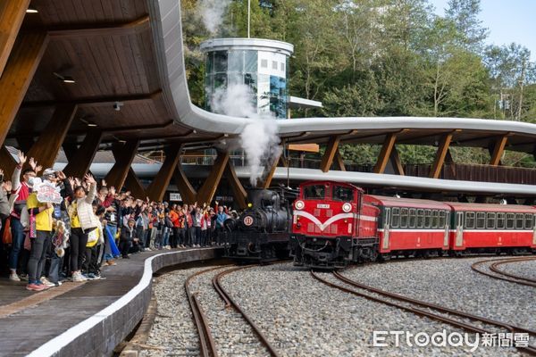 ▲阿里山賞楓主題列車。（圖／林業保育署提供）