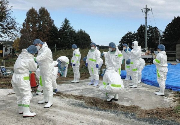 日本連爆禽流感，憂疫情擴大！台積電所在的熊本也高度警戒。（翻自《東京新聞》）