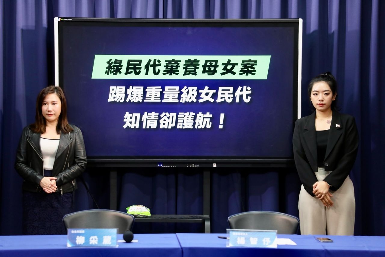 再踢爆綠議員棄養事件　國民黨曝錄音檔揭何欣純「摸頭受害者」 | ETto