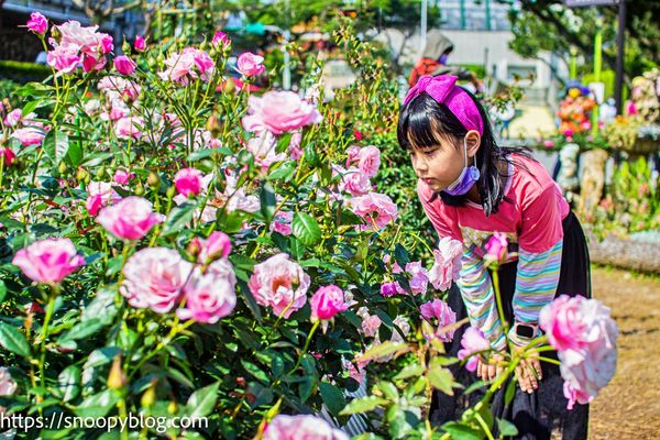 ▲▼台北7個賞花兼遛小孩的美麗公園。（圖／部落客史努比提供）