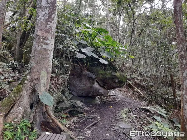 ▲瓦拉米步道狀似微笑鯊魚的大塊岩石。（圖／玉山國家公園管理處提供）