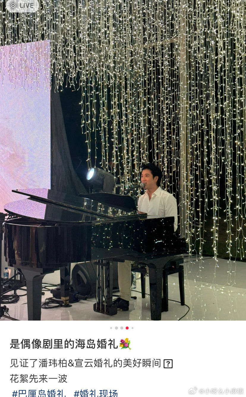 ▲王力宏在潘瑋柏婚禮獻唱。（圖／翻攝自微博）