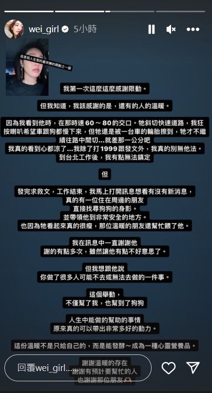 ▲▼黃薇渟目擊老狗差點被撞，發限動求民眾救狗。（圖／翻攝自IG）