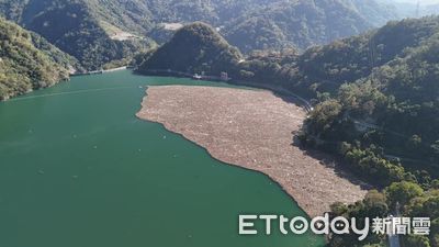 丹娜絲恐引發大量漂流木　林業署提醒莫擅自撿拾以免觸法