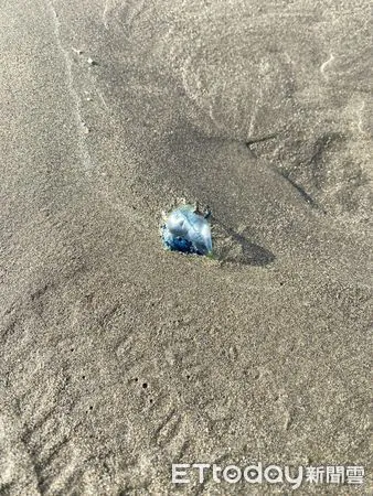 ▲苗栗漁港出現「透明塑膠袋」竟是世界第3毒　遊客驚：本來想去撿。（圖／民眾Kisa Chen提供，請勿隨意翻拍，以免侵權）