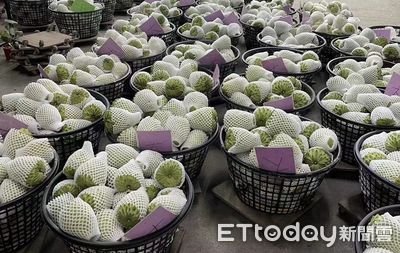 釋迦靠「台東模式」恢復銷陸 陸委會警告:「兩岸買辦」恐復活!