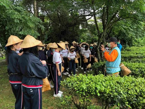 ▲新北市農會志工招募 歡迎有志民眾加入。（圖／新北市農業局提供）