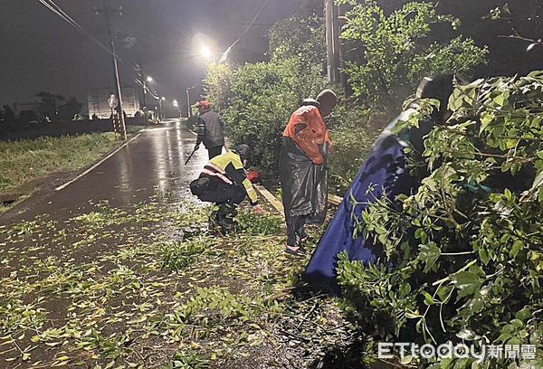 ▲桃園市昨天整日大雨不斷，大園區平成路晚間有路樹倒塌，警方巡邏發現後通知區公所人員到場，共同協助移除傾倒路樹。（圖／記者沈繼昌翻攝）