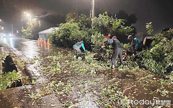 ▲桃園市昨天整日大雨不斷，大園區平成路晚間有路樹倒塌，警方會同區公所人員協助移除傾倒路樹。（圖／記者沈繼昌翻攝）