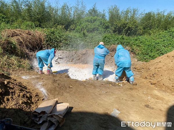 ▲雲林斗六市1白肉種雞場於今日確診H5N1亞型高病原性禽流感病例。（圖／記者蔡佩旻翻攝）