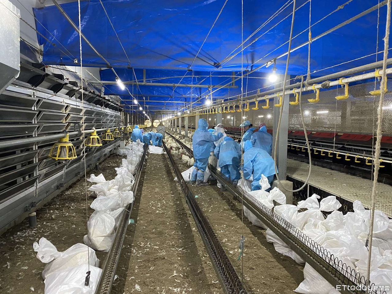 快訊／雲林雞場驚傳H5N1禽流感　撲殺2萬隻種雞...銷毀近5萬顆蛋 | ETtoday生活新聞 | ETtoday新聞雲