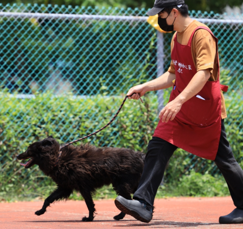 ▲▼5飼主連續10年幫愛寵打狂犬病疫苗　新北狂犬病績效全國評比第一。（圖／新北市動保處提供）