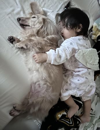 狗狗貼身哄睡寶寶。（圖／有點毛毛的／飼主Ca Mi Lla投稿）