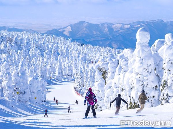▲滑雪是今年冬天最熱門的旅遊行程之一，且不論年紀都可參加，有教練現場指導，估計約三天就可學成。（圖／華航提供）