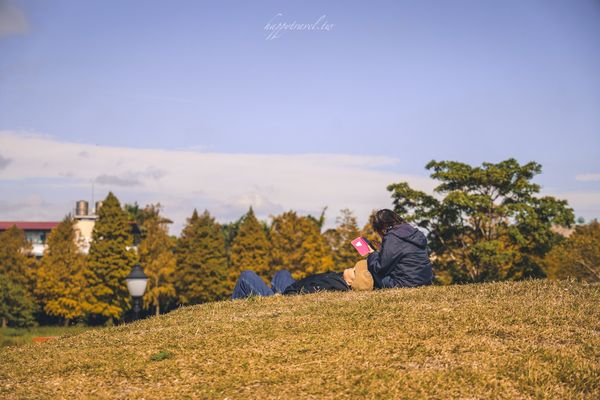 ▲▼桃園大溪落雨松秘境。（圖／部落客黑皮提供）