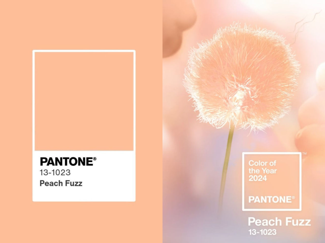 2024年度代表色出爐！PANTONE「柔和桃」絲絨般療癒、背後寓意超溫暖 ET Fashion ETtoday新聞雲