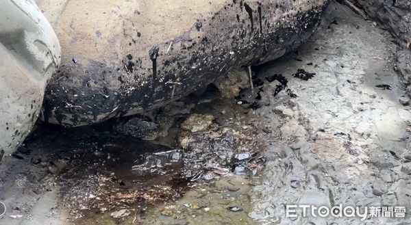 ▲▼   台東綠島日前發現大面積重油汙染          。（圖／記者楊漢聲翻攝）