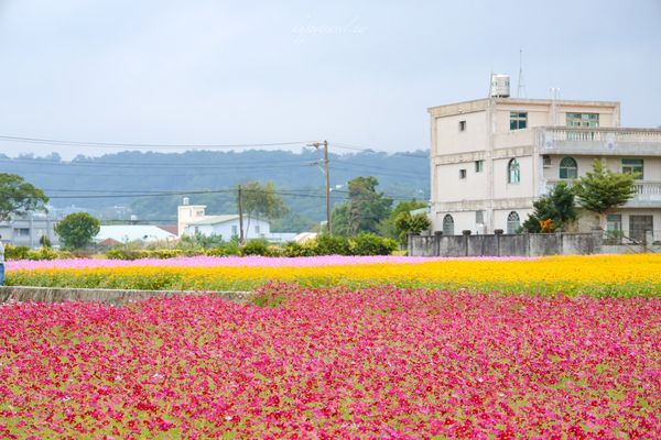 ▲▼桃園大溪兩天一日遊。大溪老街美食、景點、住宿攻略推薦。（圖／黑皮的旅遊筆記提供）