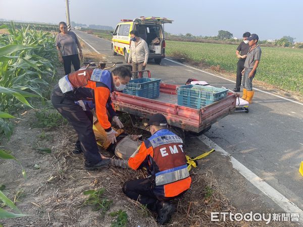 ▲▼黃翁駕駛農用搬運車不慎從車上跌落，當場捲入輪底動彈不得。（圖／記者林東良翻攝）