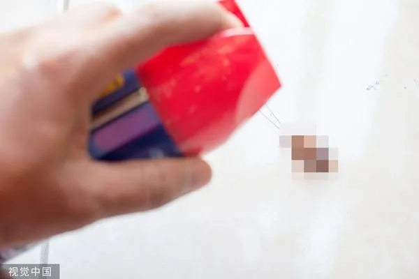 ▲▼殺蟲劑,蟑螂。（圖／CFP）