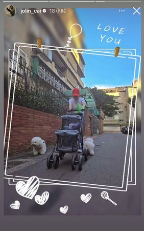 蔡依林在巷弄內低頭推寵物娃娃車，兩隻愛犬走在她身旁。（翻攝蔡依林IG）
