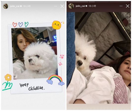 蔡依林貼出與愛犬的自拍照，其中一張還以「死亡角度」示人（右圖）。（翻攝蔡依林IG）