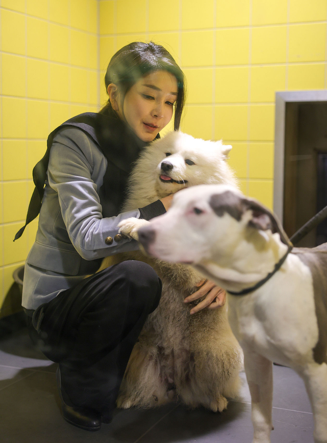 ▲▼南韓總統夫人金建希於當地時間13日造訪荷蘭阿姆斯特丹動物保護基金會。（圖／CFP）