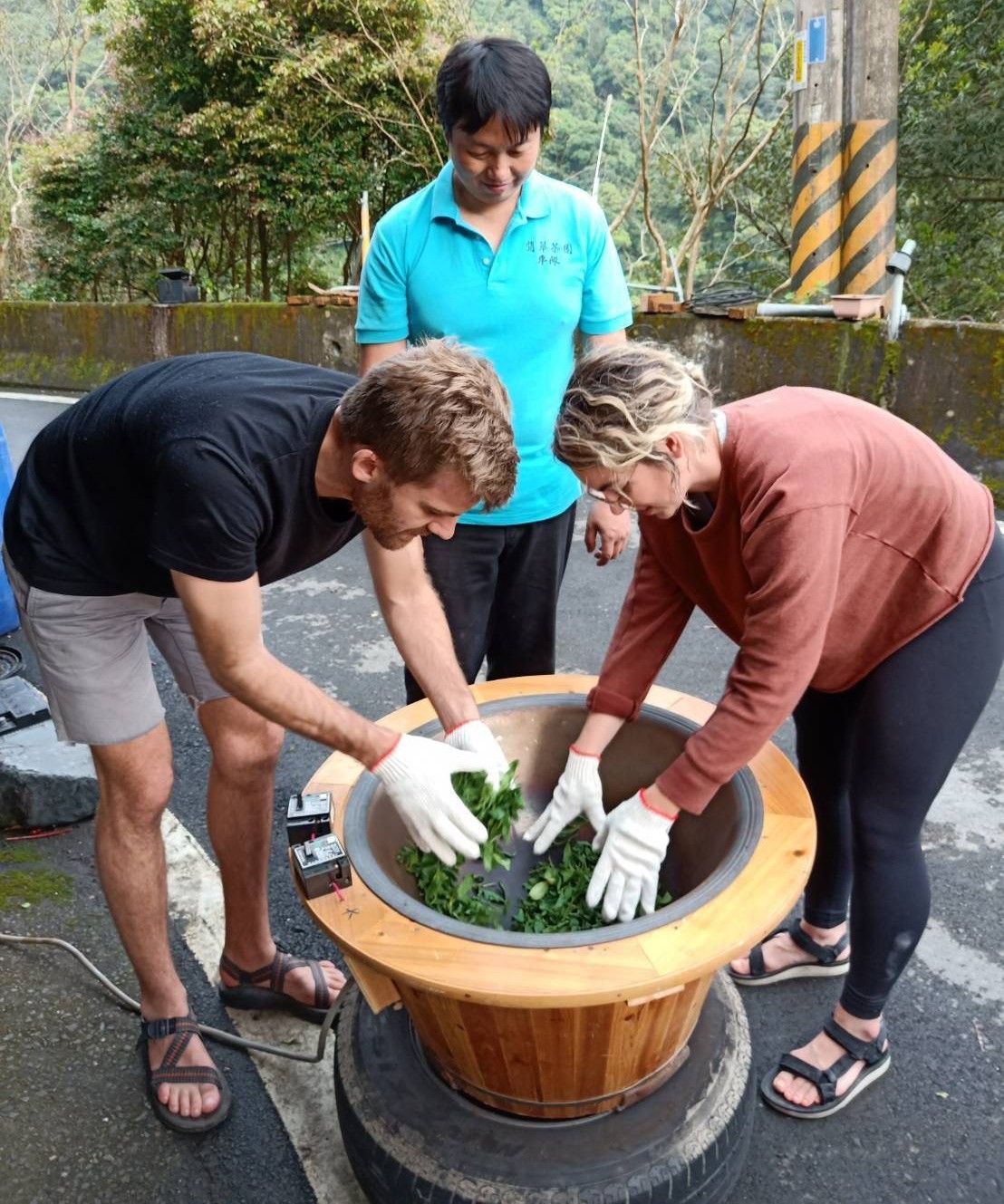 ▲接棒父親茶園13年 曾仁宗奪得石碇包種茶特等獎。（圖／新北市農業局提供）