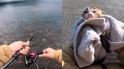 日本釣魚YTber救起「落水小貓」！莫名轉型萌寵頻道　播放量從幾千→10幾萬