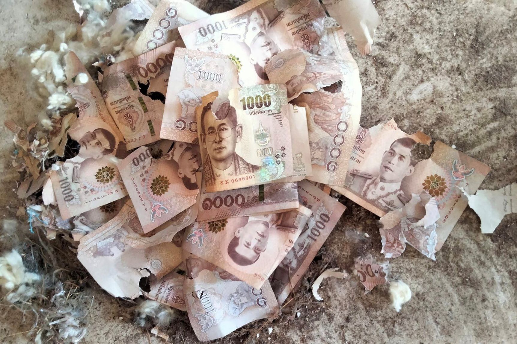 ▲▼             。（圖／翻攝自臉書）