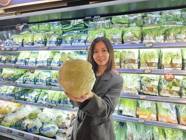 ▲▼全聯蔬菜、火鍋肉片優惠。（圖／業者提供）