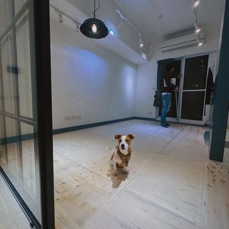 ▲黃小愛買房。（圖／翻攝自黃小愛臉書）