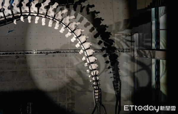 ▲全臺首座藍鯨骨骼標本展示『巨鯨之路』 屏東海生館12月15日公開展示。（圖／國立海洋生物博物館提供。）