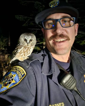 ▲▼美國警察巡邏時，意外得到和貓頭鷹的合照。（圖／翻攝自Facebook@CHP - South Lake Tahoe）