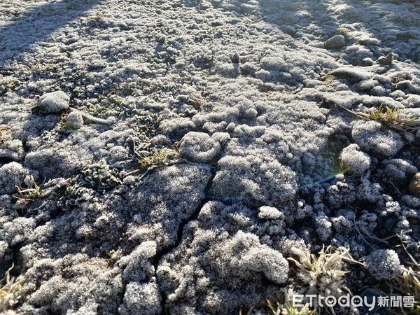 ▲▼玉山北峰12月18日，植物表面結霜。（圖／氣象署提供）