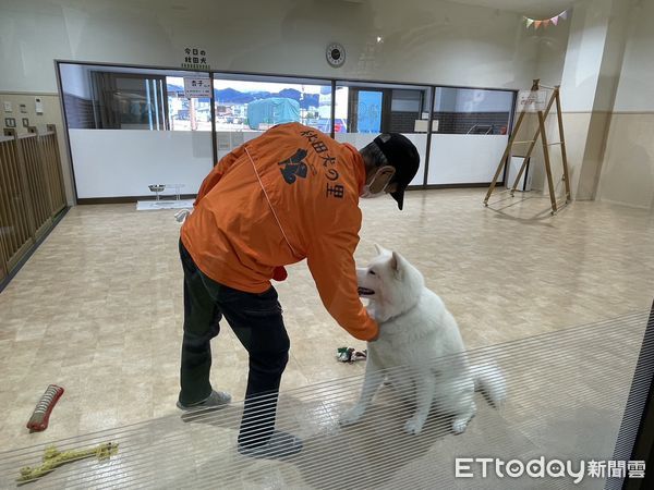 ▲▼秋田大館市「秋田犬之里」。（圖／記者周姈姈攝）