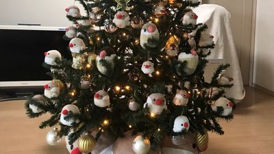 聖誕樹用150隻文鳥娃娃裝飾！　「暗藏1隻真鳥寶」考驗找碴功力