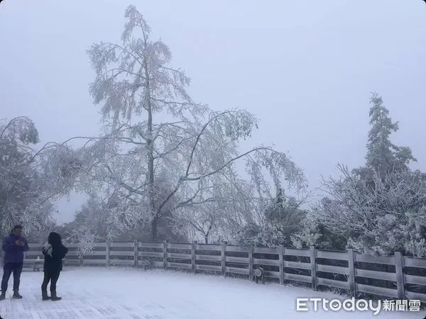 ▲▼太平山下雪。（圖／記者 陳煥丞攝）