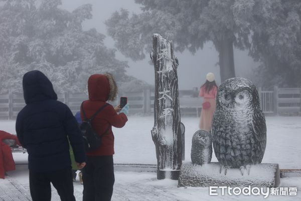 ▲▼太平山降雪情形。（圖／記者劉亮亨攝）