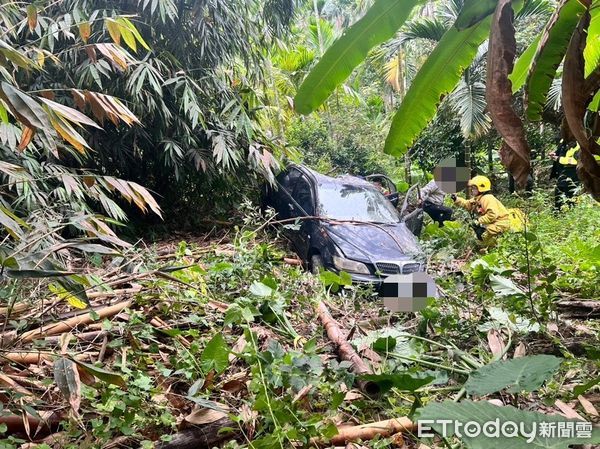 ▲▼嘉義轎車衝墜邊坡釀2死。（圖／記者翁伊森翻攝）