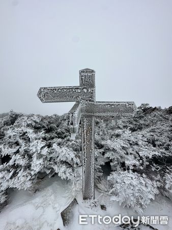 ▲▼雪霸國家公園低溫降雪。（圖／山友李鳳卉提供）